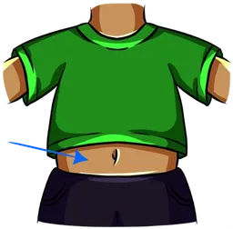 stomach.webp